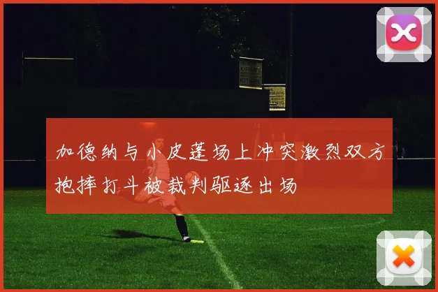 加德纳与小皮蓬场上冲突激烈双方抱摔打斗被裁判驱逐出场