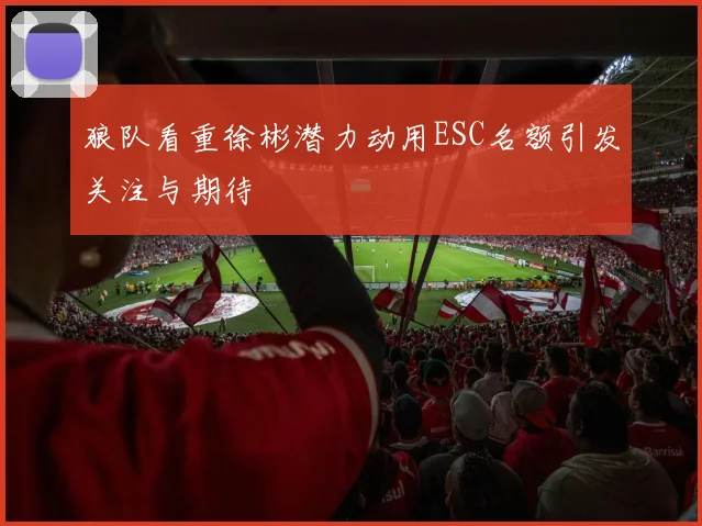 狼队看重徐彬潜力动用ESC名额引发关注与期待