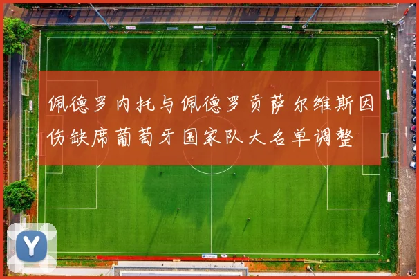 佩德罗内托与佩德罗贡萨尔维斯因伤缺席葡萄牙国家队大名单调整